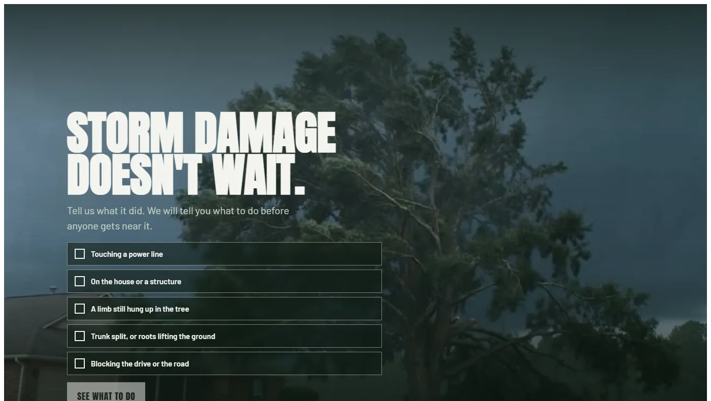 A tree company's storm page: heavy condensed type reading “Storm damage doesn't wait” over a dark oak bending in the wind, above five checkboxes naming what the storm did.